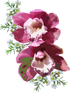 Forfait Orchidée